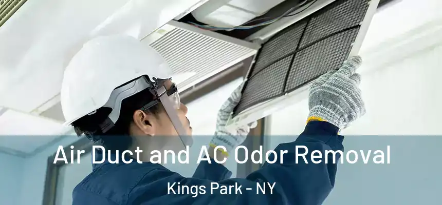Air Duct and AC Odor Removal Kings Park - NY