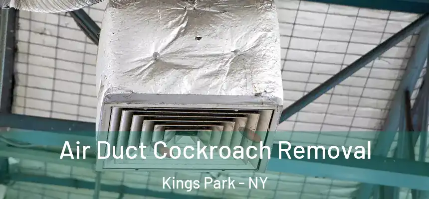  Air Duct Cockroach Removal Kings Park - NY