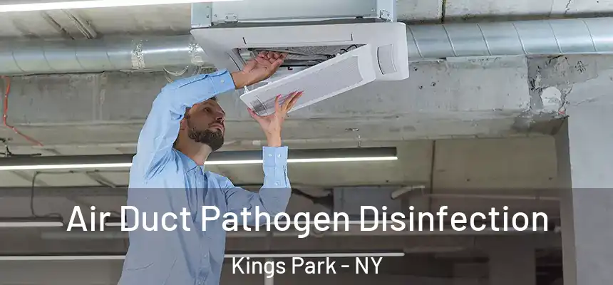 Air Duct Pathogen Disinfection Kings Park - NY