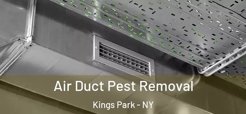 Air Duct Pest Removal Kings Park - NY