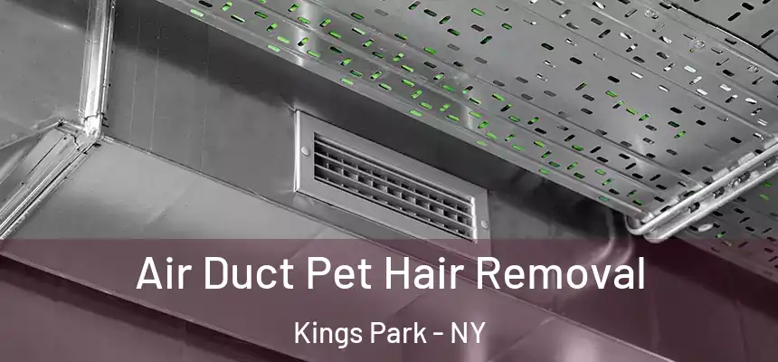  Air Duct Pet Hair Removal Kings Park - NY