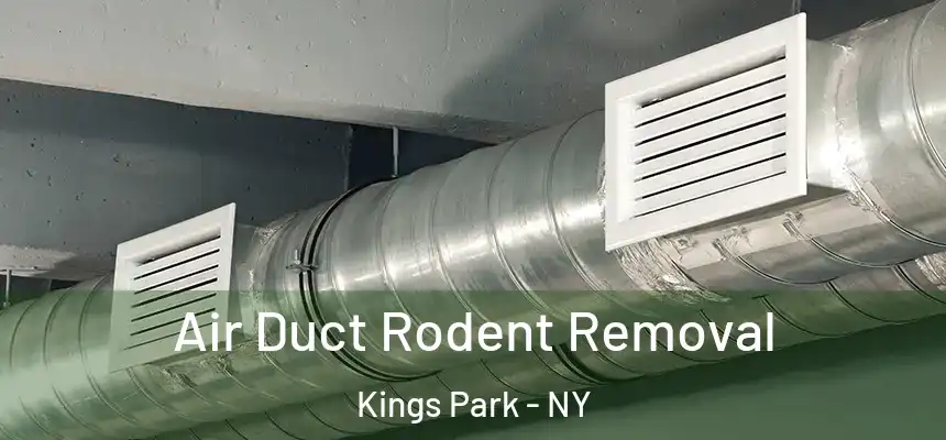 Air Duct Rodent Removal Kings Park - NY