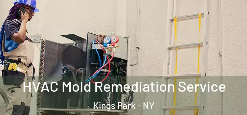 HVAC Mold Remediation Service Kings Park - NY