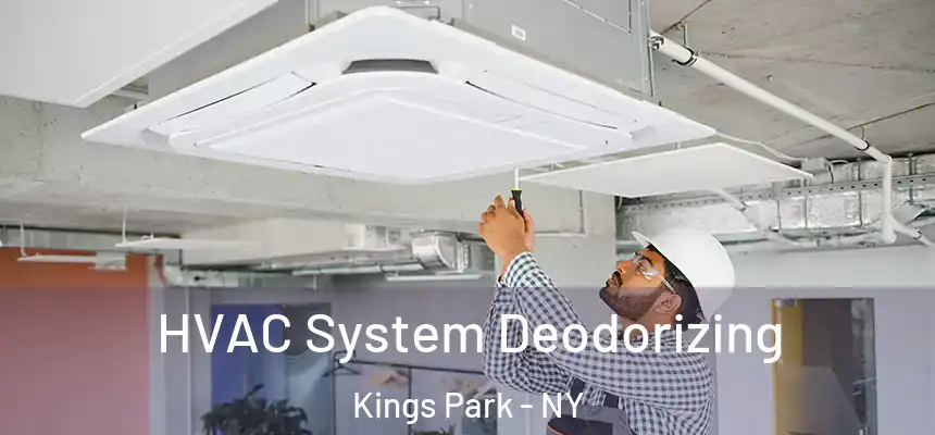 HVAC System Deodorizing Kings Park - NY