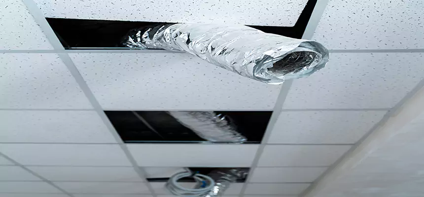 Affordable HVAC Sanitizing After Pest Removal in Kings Park