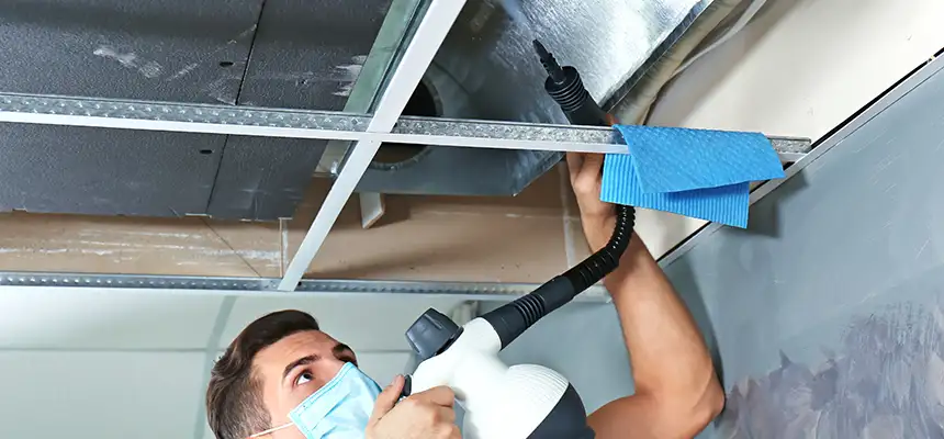 Our Air Duct Rodent Removal Services in Kings Park, NY