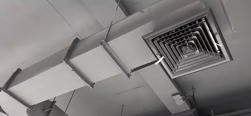 Restorative Allergy Relief Vent Cleaning – Coil, Blower & Housing Detail in Kings Park