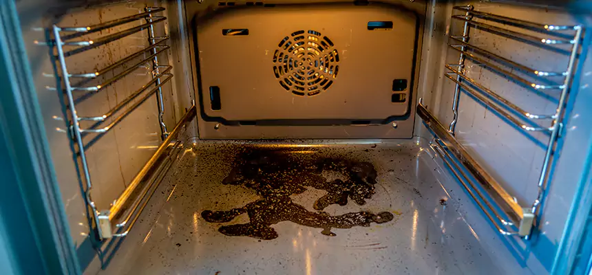 Our Dryer Vent Mold Cleaning Services in Kings Park, NY