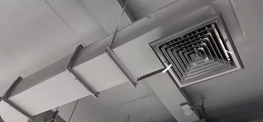 Our Pest Removal From Ducts Services in Kings Park, NY