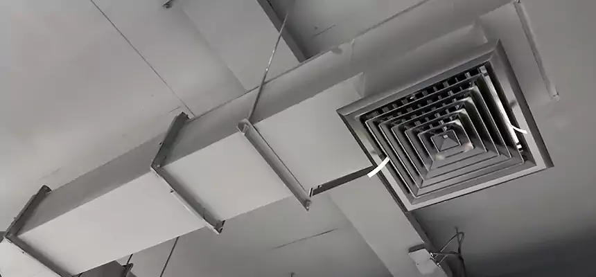 Our Rodent Droppings In Vents Services in Kings Park, NY