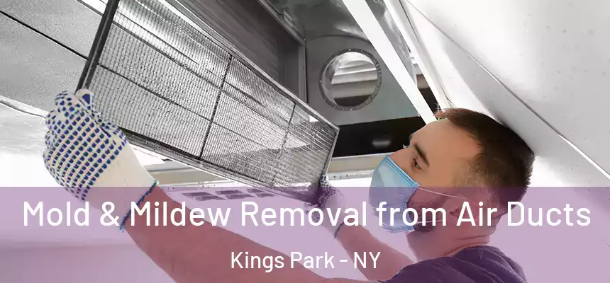 Mold & Mildew Removal from Air Ducts Kings Park - NY