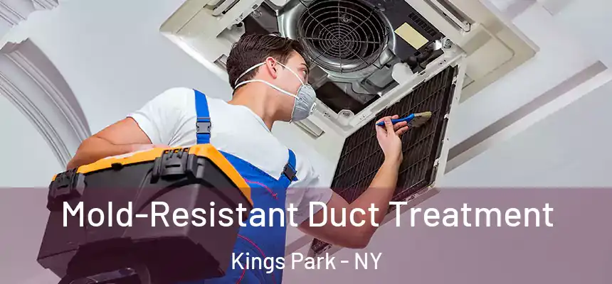  Mold-Resistant Duct Treatment Kings Park - NY