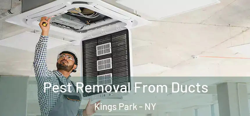 Pest Removal From Ducts Kings Park - NY