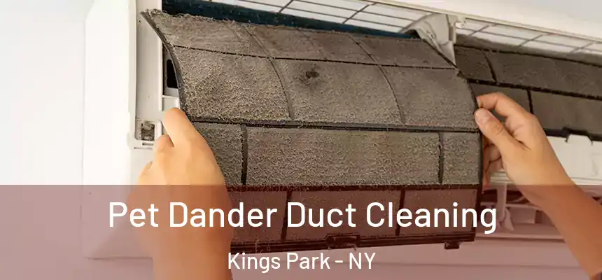  Pet Dander Duct Cleaning Kings Park - NY