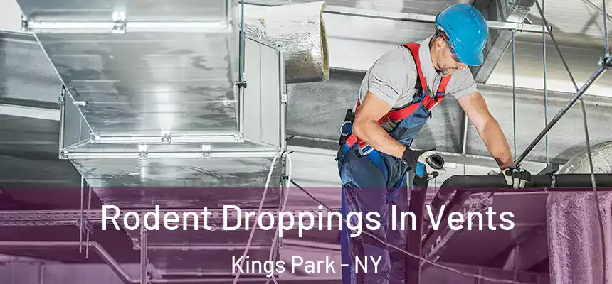  Rodent Droppings In Vents Kings Park - NY
