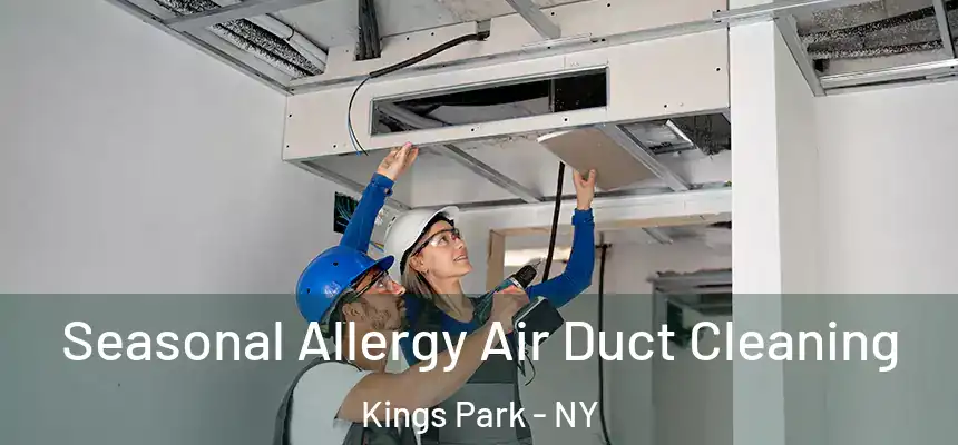  Seasonal Allergy Air Duct Cleaning Kings Park - NY