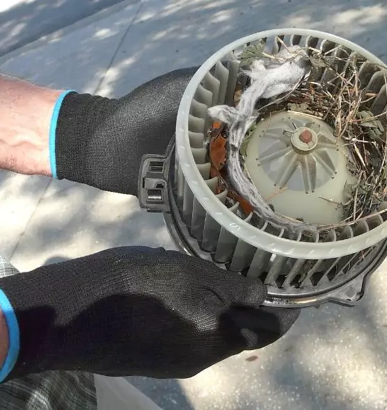 About Air Duct Mice Removal in Kings Park, NY