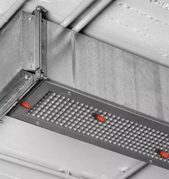 Affordable Insect Removal from Air Ducts in Kings Park, NY