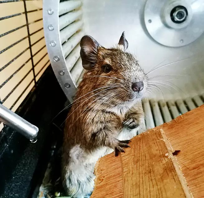 Why Homeowners & Businesses Trust Us Kings Park, NY