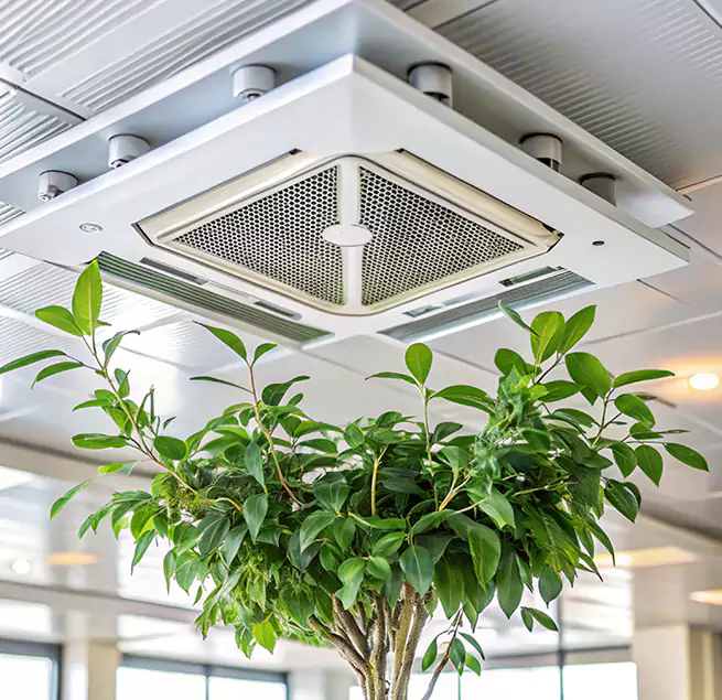 Why Homeowners & Businesses Trust Us in Kings Park, NY?