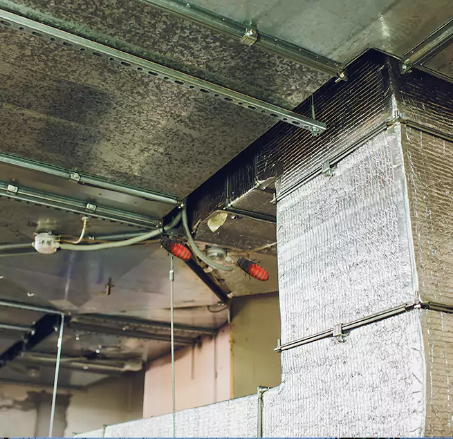 Why Homeowners & Businesses Trust Us Kings Park, NY?